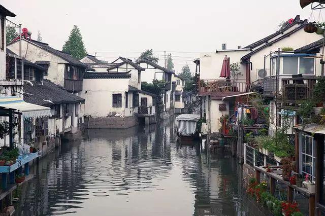 拯救胖男孩